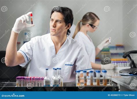 Technician Analyzing Blood Sample In Lab Stock Photo Image Of Person