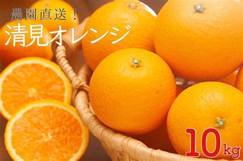 清見オレンジ10kg（大小混合）《ご家庭用》ちょっと訳あり 和歌山県より農園直送！まごころ産直みかん【北海道・沖縄県・一部離島 配送不可