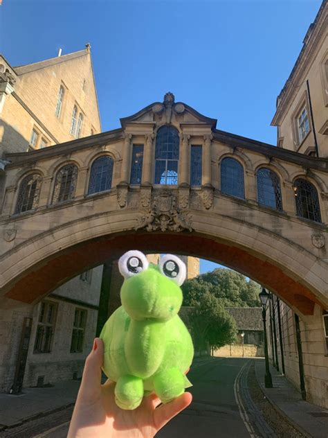 White Rose Maths on Twitter: "Looks like @TinyTortoiseWRM 🐢 has been ...