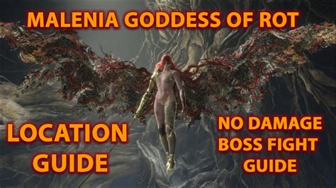 Elden Ring Guide Malenia Goddess Of Rot Boss Location Guide Malenia Boss Fight Stratergy Guide