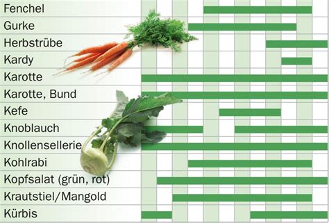 Saisonkalender Das Richtige Gem Se Zur Richtigen Zeit Bauernzeitung