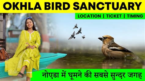 Okhla Bird Sanctuary In Noida Delhi Best For Couples With Complete