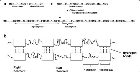 Thermoplastic Polyurethane Chemical Reaction A And Block Structure