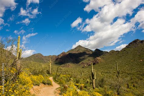 Arizona Landscape Stock Photo | Adobe Stock