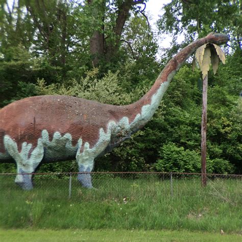 Why Oakbrook IL has a hidden prehistoric fossil site 11