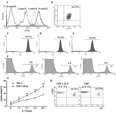 Cell Based Flow Cytometry Assay To Measure Cytotoxic Activity Protocol