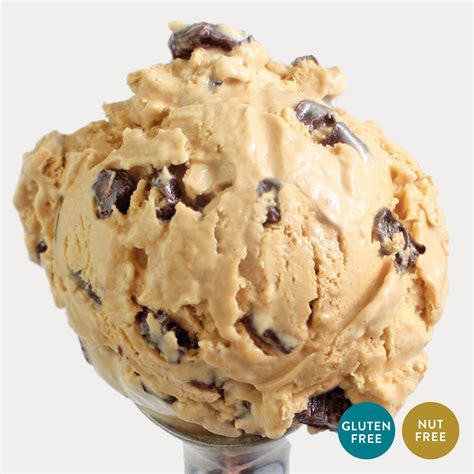 Coffee Toffee Ice Cream Ecreamery