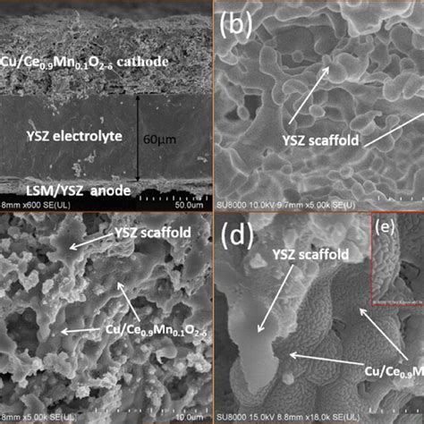 SEM images of the SOCs with Cu Ce0 9Mn0 1O2 δ fuel electrode a