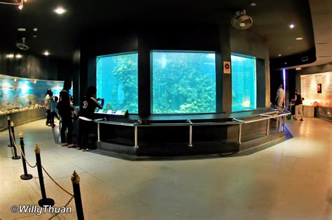 Phuket Aquarium in Cape Panwa - PHUKET 101