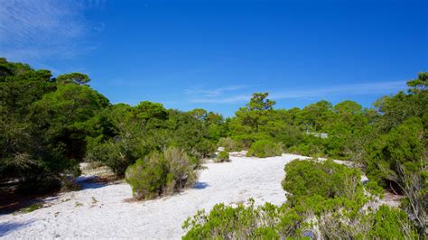 Visit Lower Grand Lagoon: 2022 Travel Guide for Lower Grand Lagoon, Panama City Beach | Expedia