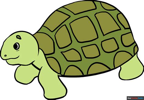 Easy Turtle Drawing