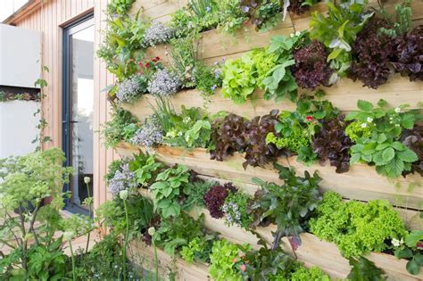 Guide To Creating A Living Plant Wall In 2022 Plants Small Backyard