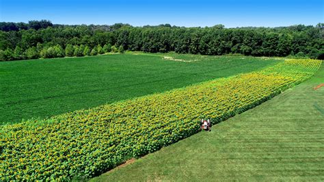 Photo Gallery — Hopkins Farm Brewery