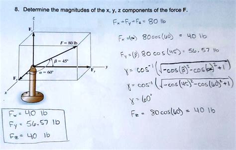 SOLVED Determine The Magnitudes Of The X Y Z Components Of The Force