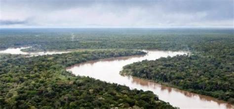 Rio Ucayali Mapa Y Todo Lo Que Desconoce Sobre él