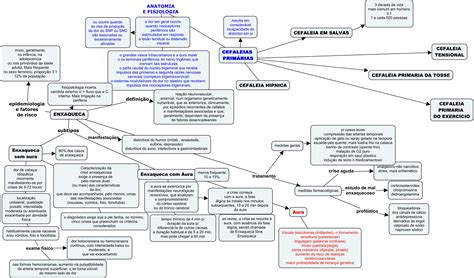 Top Imagen Actividades Primarias Mapa Mental Viaterra Mx Hot Sex Picture