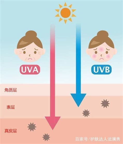 防曬丨沒有正確的防曬知識，擦了防曬霜也是白擦 每日頭條