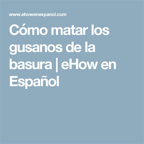 Como Matar Gusanos De La Basura Actualizado Enero 2025