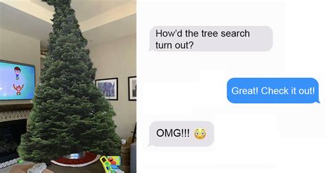 This Dad Went Christmas Tree Shopping Without Mom And Then Trolls Her ...