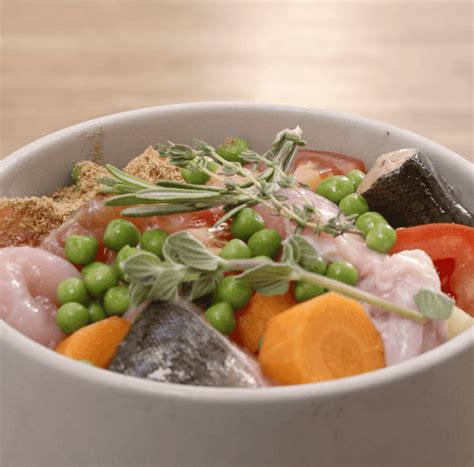 Barking Heads & Meowing Heads