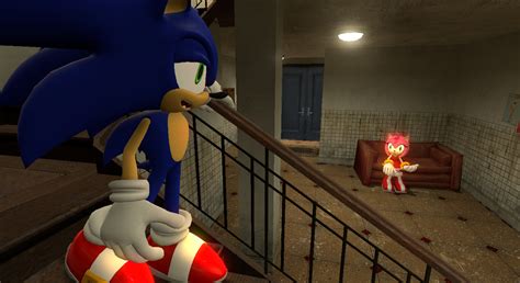 Sonic And Amy Belongs To Sega Art By Me Made In Gmod Garrys Mod