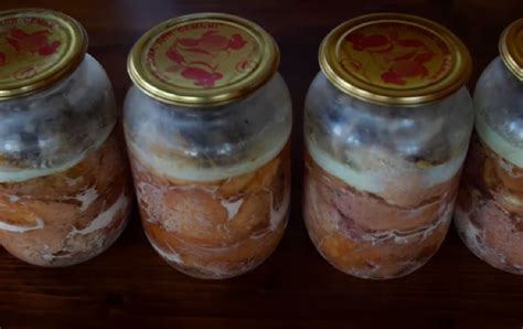 Тушенка из свежего и копченого мяса - рецепт и как готовить в кастрюле ...