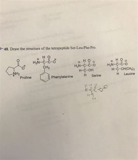 Solved 48. Draw the structure of the tetrapeptide | Chegg.com