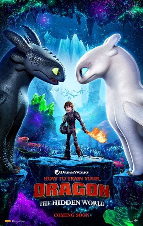 Affiche Du Film Dragons Le Monde Cach Photo Sur Allocin