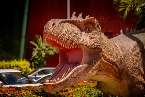 Aracaju Vai Receber A Maior Exposi O De Dinossauros Da Am Rica Latina