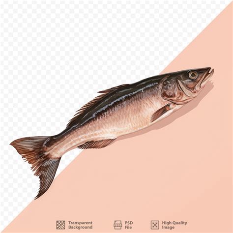 Um Peixe Está Em Um Fundo Rosa Com A Imagem De Um Peixe Psd Premium