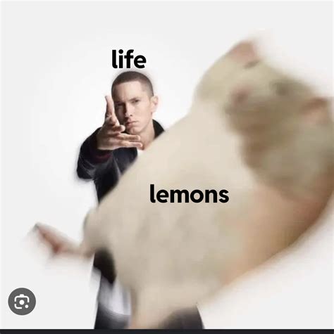 When Life Gives You Lemons Rmemes Eminem Throwing Things Know