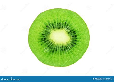 Slice of kiwi. stock photo. Image of macro, food, group - 8858082