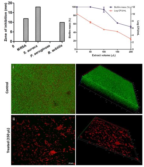 A The Antibacterial Activity Of N Lucentensis Emb Using Agar Plug