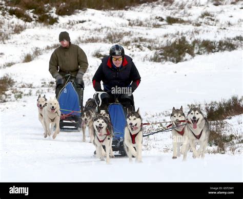 Winter weather - Jan 23rd Stock Photo - Alamy