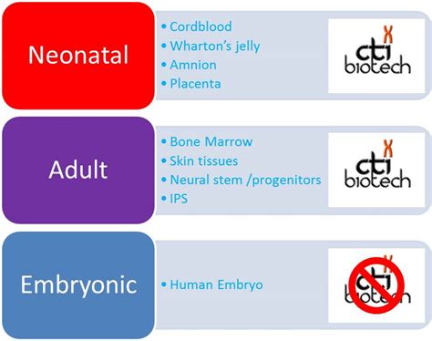 Adult Stem Cell Technology Platforms