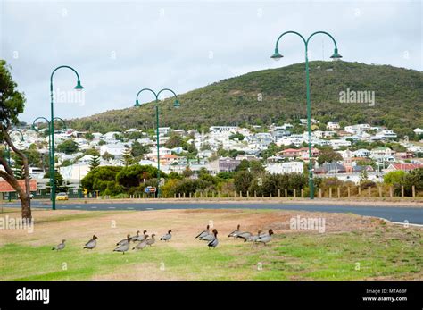 Albany - Western Australia Stock Photo - Alamy