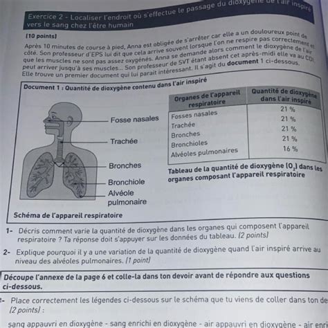 Exercice Localiser L Endroit O S Effectue Le Passage Du Dioxyg Ne