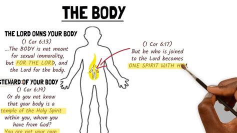 What You Need To Know About Your Body