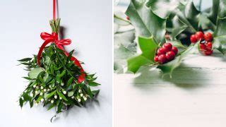 Who’d Win This Christmas Fight: Mistletoe vs Holly?