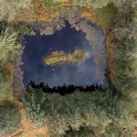 Creme Caramel Free Tight Pussy Porn Video 06 XHamster