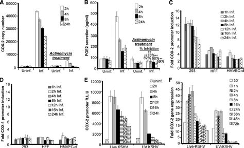 Effects Of Kshv Gene Expression And Pge 2 Supplementation On Cox 2