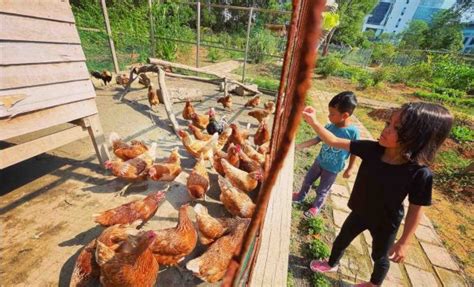 Cultivating Urban Farming In Malaysia