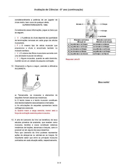 Avalia O De Ci Ncias Ano Respostas Gabarito Prova Exerc Cios