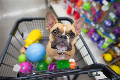 Quais Os Produtos Mais Vendidos Em Pet Shop Pet Shop Control Blog