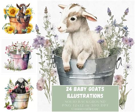 Watercolor Baby Goat In Bucket Illustrations Cute Goat And Etsy