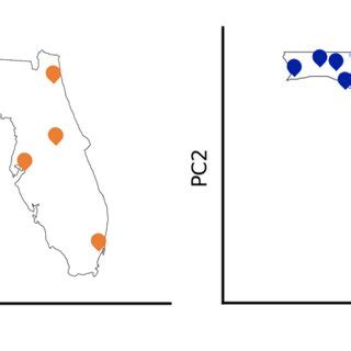 Schematic Representation Of The Medoid Medoid Periphery Uniform And