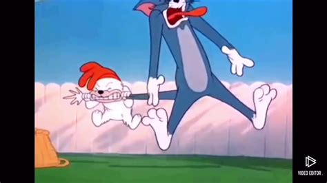 Tom And Jerry Toms Screams Youtube