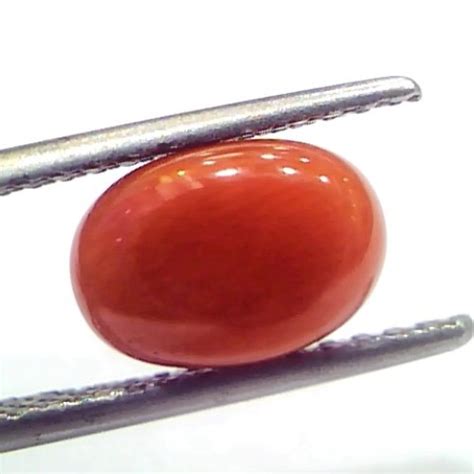 5 11 Ct 8 5 Ratti Natural Untreated Italian Red Coral Moonga Gems