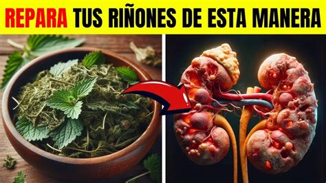 Descubre Los Super Alimentos Para Limpiar Tus Ri Ones De Forma