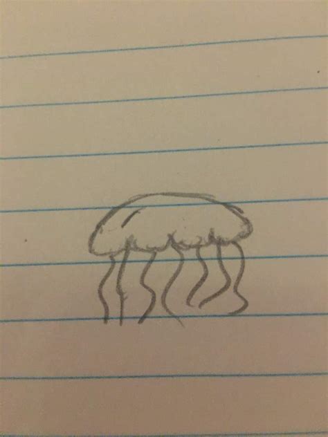 Pencil Draft of Bob the Jellyfish Pokémon Amino